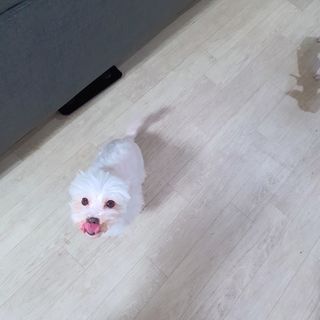나린마마님이 올린 리뷰 사진 4