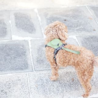 윤디캔디님이 올린 리뷰 사진 3