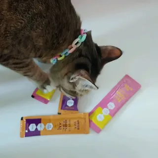 horim님이 올린 리뷰 사진 1