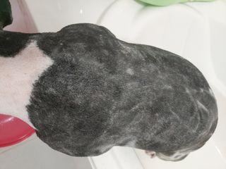 또용님이 올린 리뷰 사진 4