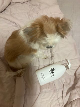 예민한 피부를 위한 코코몰리 All in one 자연유래 샴푸 — 4.5점을 준 리뷰어가 2021년 3월 올린 사용 사진