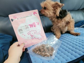 My Pet Care 천연단백질 관절건강에 개좋아 — 4점을 준 리뷰어가 2021년 2월 올린 사용 사진