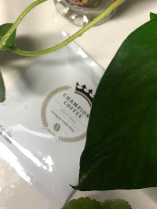 귀욤춉춉님이 올린 리뷰 사진 4