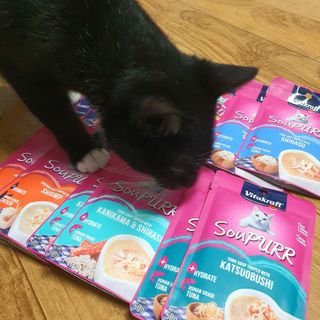 비타크래프트 고양이 수프 50g 3가지맛 x4팩씩 총 12팩 — 5점을 준 리뷰어가 2021년 8월 올린 사용 사진