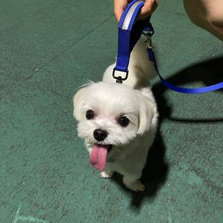 꿍언니님이 올린 리뷰 사진 1