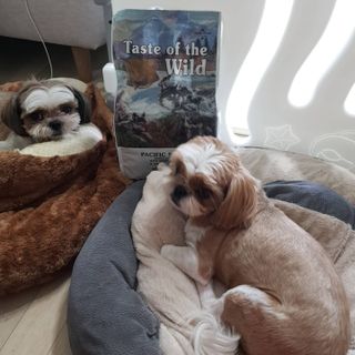 베베츄님이 올린 리뷰 사진 2