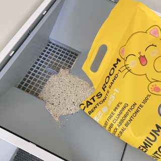 겟플렉스 켓플렉스 캣츠룸BS-1 고양이모래 4kg — 5점을 준 리뷰어가 2021년 3월 올린 사용 사진
