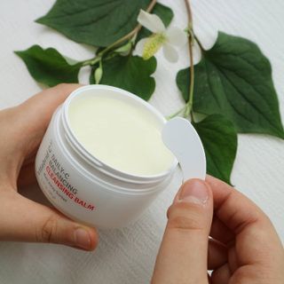 푸르매님이 올린 리뷰 사진 2