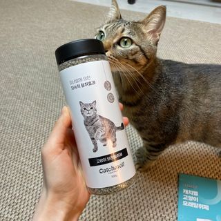 이보노님이 올린 리뷰 사진 3