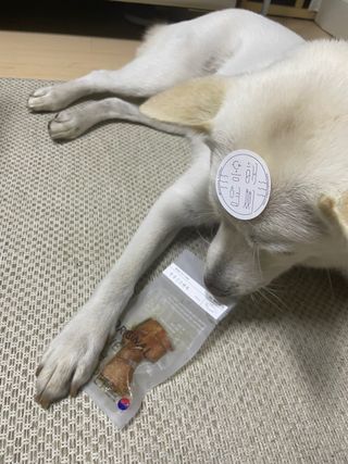 나래님이 올린 리뷰 사진 1