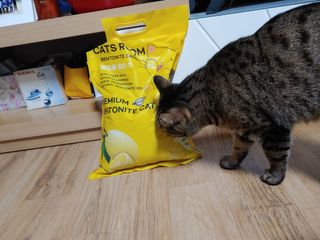 겟플렉스 켓플렉스 캣츠룸BS-1 고양이모래 4kg — 5점을 준 리뷰어가 2021년 1월 올린 사용 사진