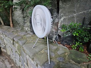양지니님이 올린 리뷰 사진 2