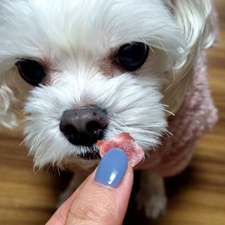 youngran님이 올린 리뷰 사진 2