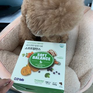 코끼리님이 올린 리뷰 사진 1