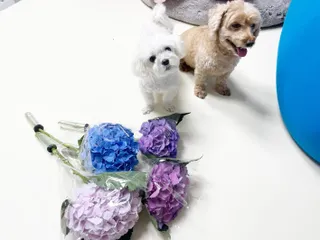 쓸언니님이 올린 리뷰 사진 2