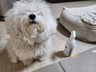 마용님이 올린 리뷰 사진 3