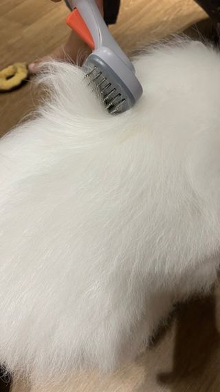 K케이님이 올린 리뷰 사진 4