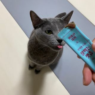 페페로니 잘 먹는 캣츄 - 원양선 참치 24개입 — 5점을 준 리뷰어가 2021년 10월 올린 사용 사진