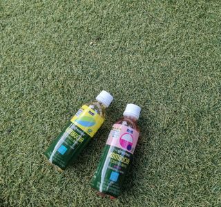 더그레잇티 콤부차 [매일유업] 더그레잇티 44kcal 콤부차 300ml *12개입 (오리지널 6개+베리리치 6개) — 5점을 준 리뷰어가 2023년 7월 올린 사용 사진