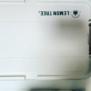 송은선님이 올린 리뷰 사진 2