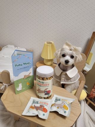 [펫시밀] 원물그대로 영양듬뿍 진공동결건조 북어트릿75g,치킨트릿100g,연어트릿75g 강아지 고양이 간식 — 5점을 준 리뷰어가 2023년 5월 올린 사용 사진