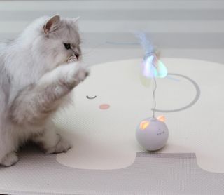 sunny님이 올린 리뷰 사진 2