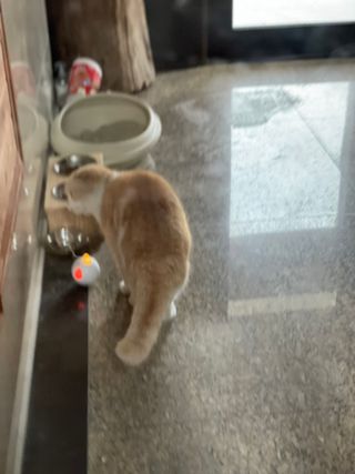 SoJungLee님이 올린 리뷰 사진 4