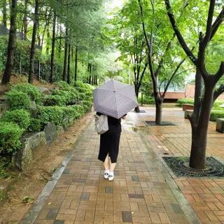 써니곰님이 올린 리뷰 사진 2