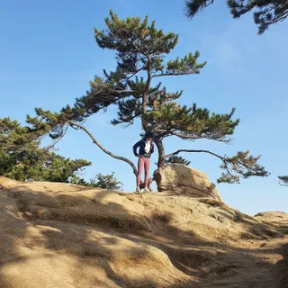 사랑해안시영님이 올린 리뷰 사진 2