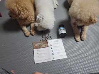 모모맘님이 올린 리뷰 사진 3