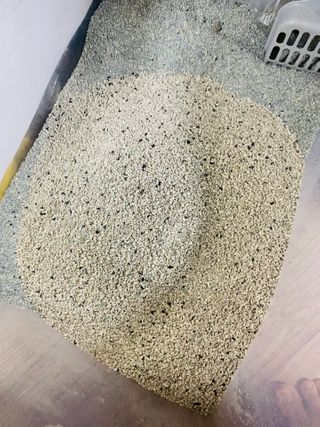 겟플렉스 켓플렉스 캣츠룸BS-1 고양이모래 4kg — 5점을 준 리뷰어가 2021년 1월 올린 사용 사진