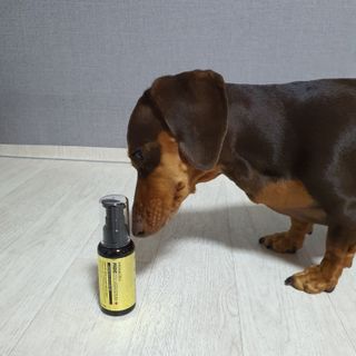 체르엠  프루브 콜라겐 앰플세럼 60ml 1병 — 4점을 준 리뷰어가 2021년 10월 올린 사용 사진