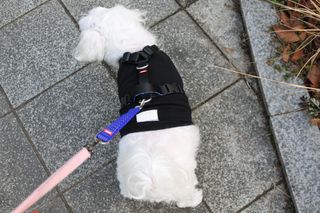 🍑여신🇰🇷샤🎀맘🍑님이 올린 리뷰 사진 3