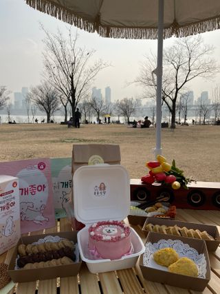 My Pet Care 천연단백질 관절건강에 개좋아 — 2점을 준 리뷰어가 2021년 3월 올린 사용 사진