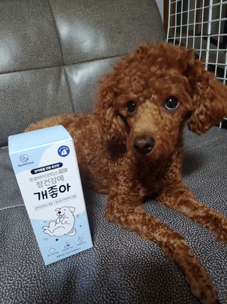 너구리양님이 올린 리뷰 사진 1