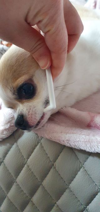동딩이님이 올린 리뷰 사진 4