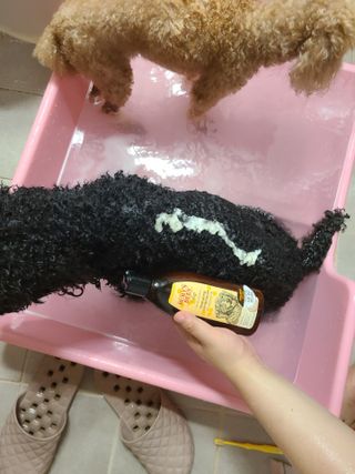 잠주부옥님이 올린 리뷰 사진 1