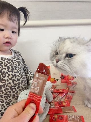진아배님이 올린 리뷰 사진 2