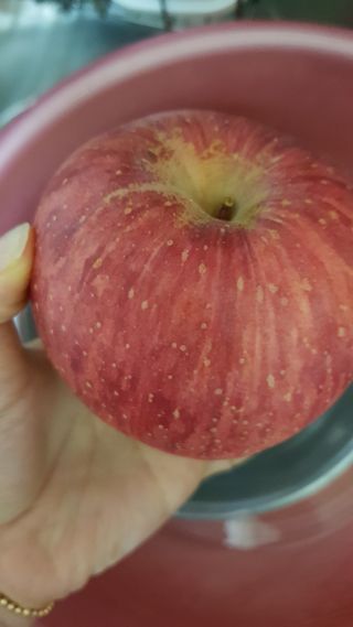 프린스님이 올린 리뷰 사진 3