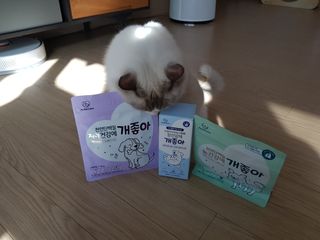 My Pet Care 천연단백질 치아건강에 개좋아 — 5점을 준 리뷰어가 2021년 1월 올린 사용 사진