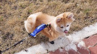 좋아님이 올린 리뷰 사진 2