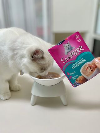 비타크래프트 고양이 수프 50g 3가지맛 x4팩씩 총 12팩 — 5점을 준 리뷰어가 2021년 8월 올린 사용 사진