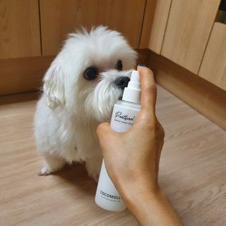 미민님이 올린 리뷰 사진 2