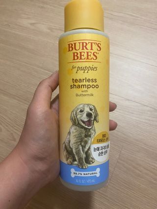 이시은님이 올린 리뷰 사진 4