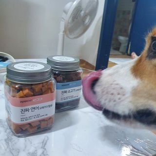 페페로니 진짜 오메가3 연어+소고기 180g+180g — 5점을 준 리뷰어가 2021년 7월 올린 사용 사진