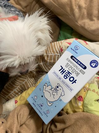 대바기님이 올린 리뷰 사진 3