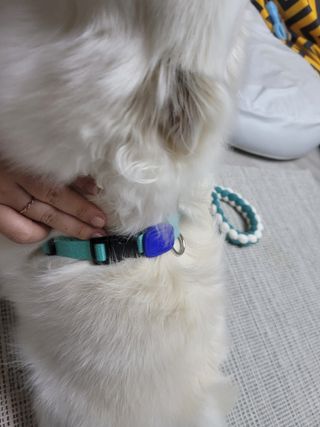 윤윤님이 올린 리뷰 사진 4