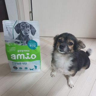 꽃수니어니님이 올린 리뷰 사진 1