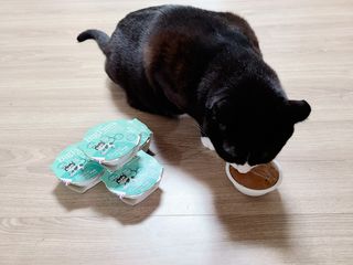 채원님이 올린 리뷰 사진 1
