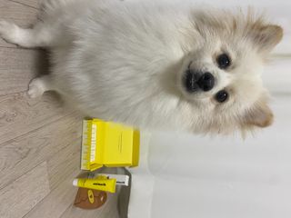 김소피님이 올린 리뷰 사진 1